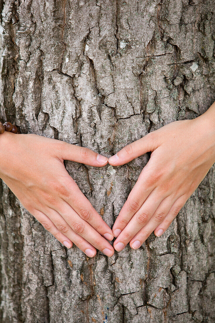 Hände formen ein Herz vor einem Baum, Steiermark, Österreich