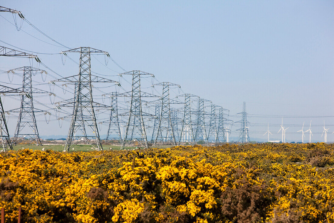 Landscape with electrical pylons and wind turbines, England, Great Britain