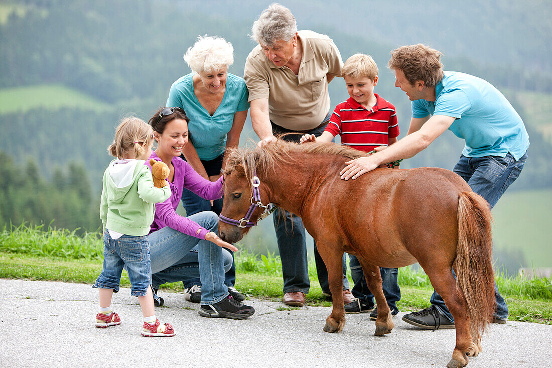 Großfamilie streichelt ein Pony, Steiermark, Österreich