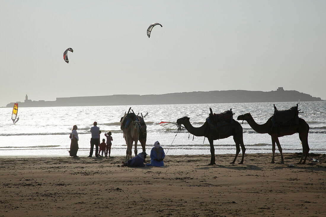 Personengruppe und Dromedare am Strand, Kitesurfer im Hintergrund, Essaouira, Marokko