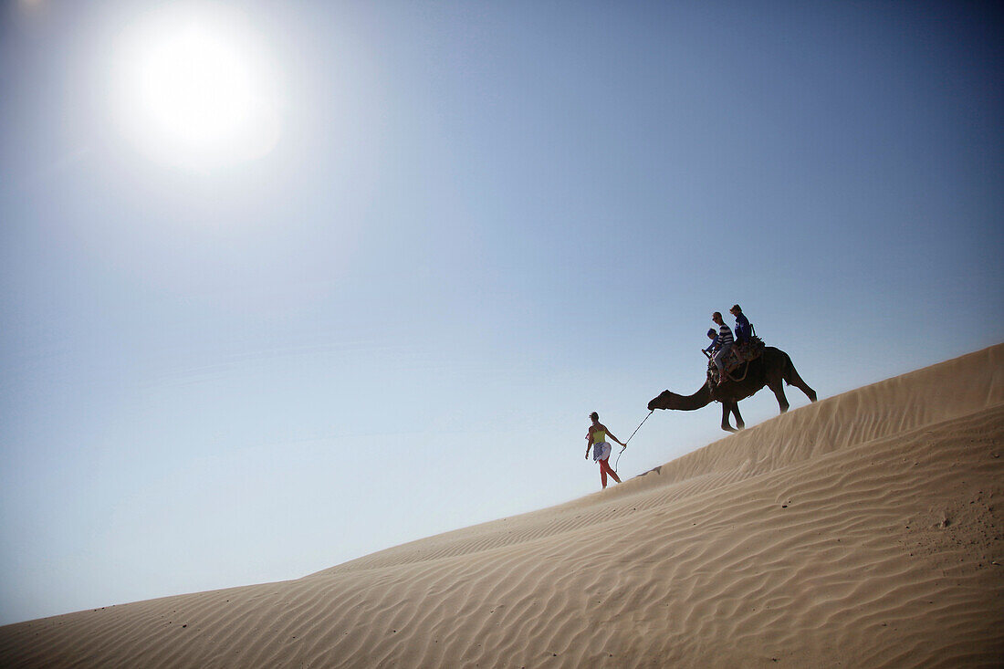 Dromedary riding at beach of Essaouira, Morocco