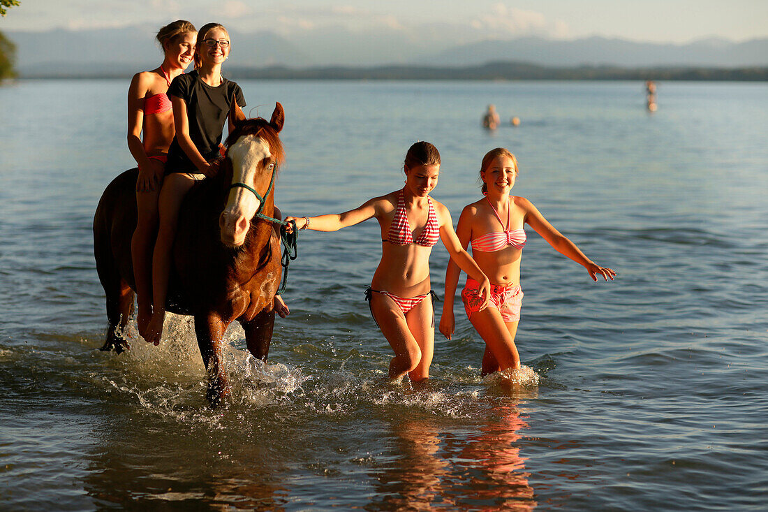 Four girls with a horse in lake Starnberg, Ammerland, Munsing, Upper Bavaria, Germany