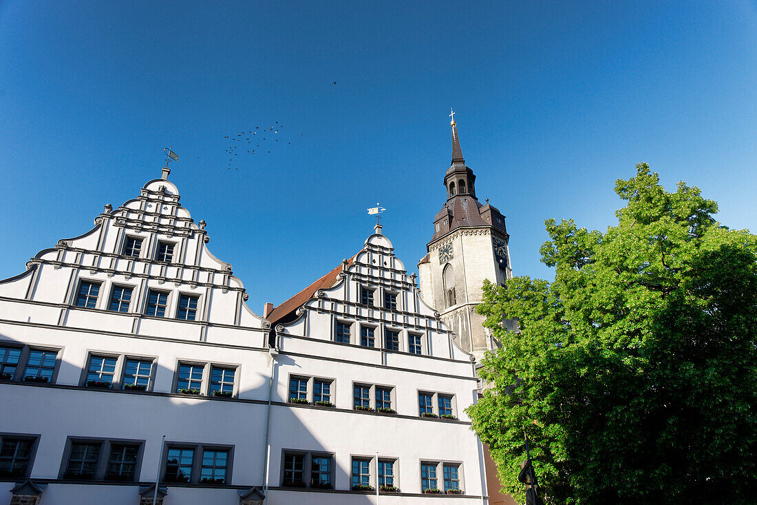 Market square with the parish church of St. Wenzel in the background, Naumburg, Burgenlandkreis, Saxony-Anhalt, Germany