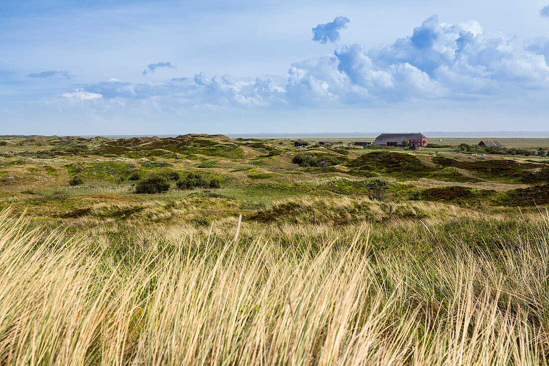 Look-out dune with view to the southeast, Langeoog Island, North Sea, East Frisian Islands, East Frisia, Lower Saxony, Germany, Europe