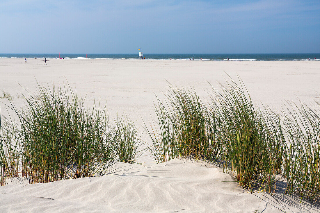Dunes at the beach, Juist Island, North Sea, East Frisian Islands, East Frisia, Lower Saxony, Germany, Europe