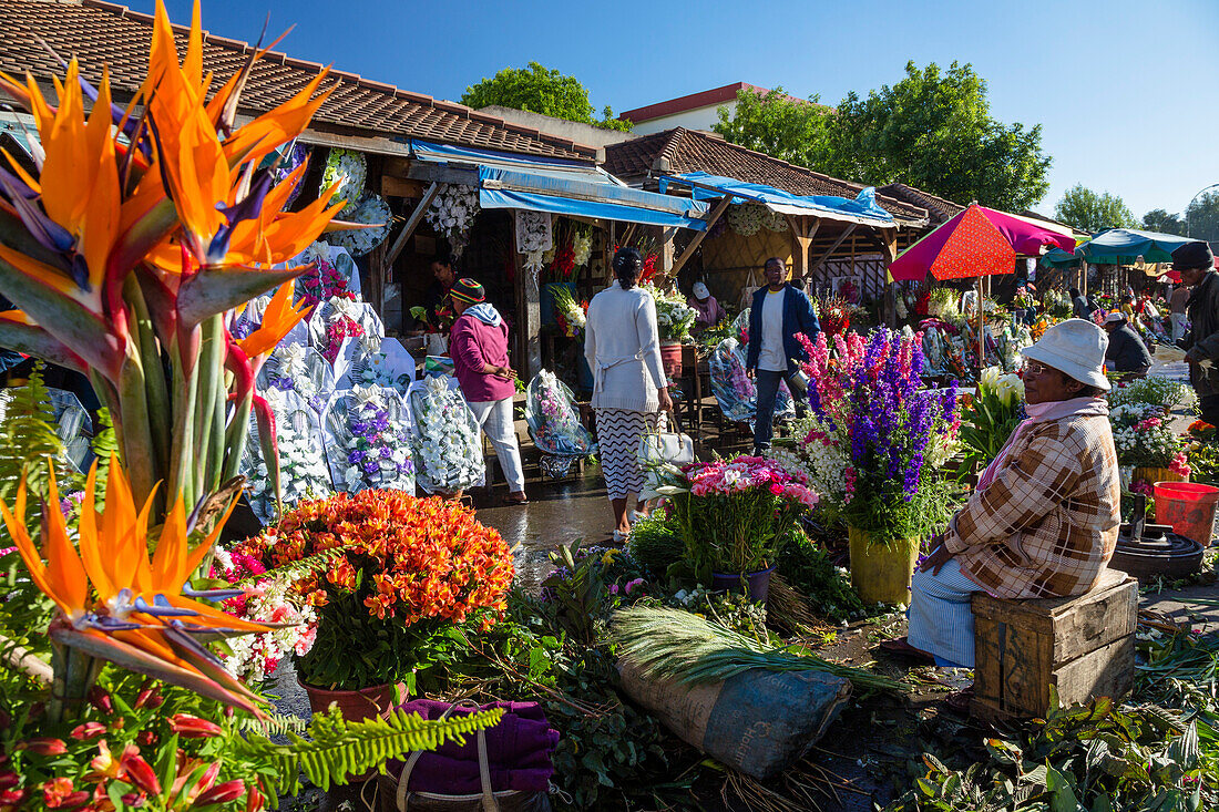Blumenmarkt in der Hauptstadt Antananarivo, Madagaskar, Afrika