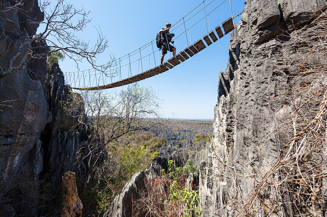 Suspension bridge in Tsingy-de-Bemaraha National Park, Mahajanga, Madagascar, Africa
