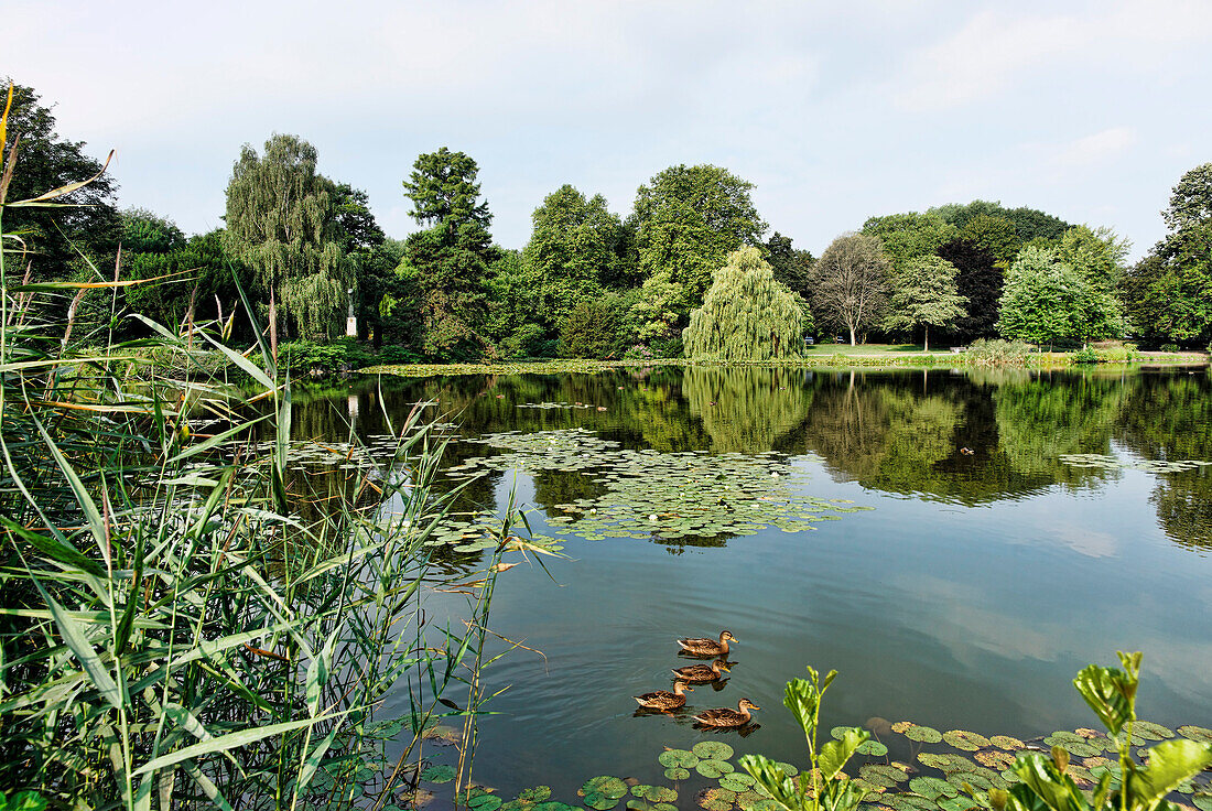 Maschteich, Hannover, Niedersachsen, Deutschland