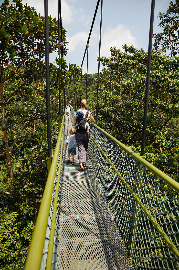 Familie auf einer Hängebrücke, HSBC Tree Top Walk, MacRitchie Reservat, Singapur