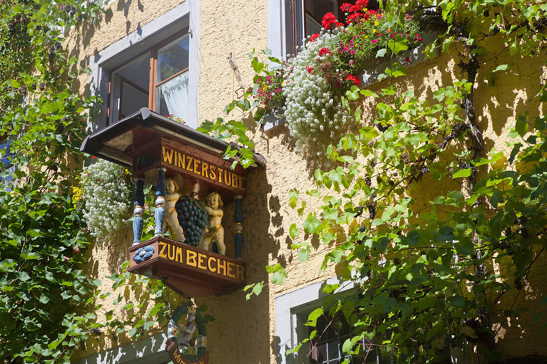 Wine tavern in the historical center of Meersburg, Lake Constance, Swabia, Baden-Wuerttemberg, Germany, Europe