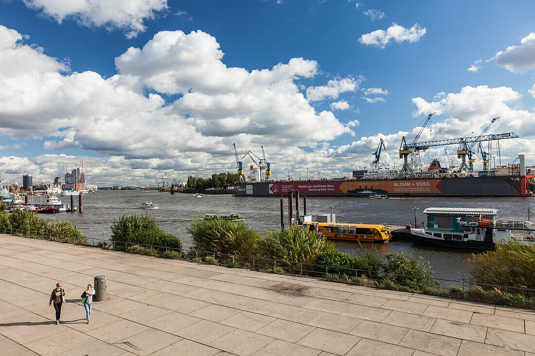 View over river Elbe to a dockyard, Hamburg, Germany