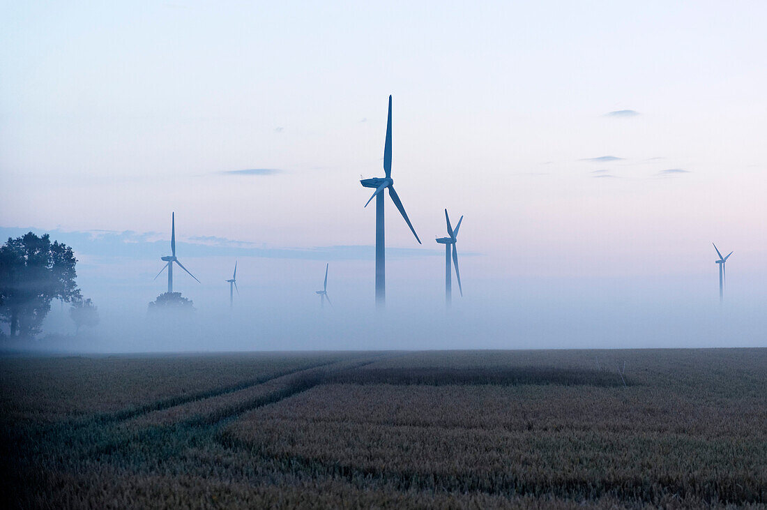 Wind turbines in a field near Neustadt in Holstein, Schleswig-Holstein, Germany