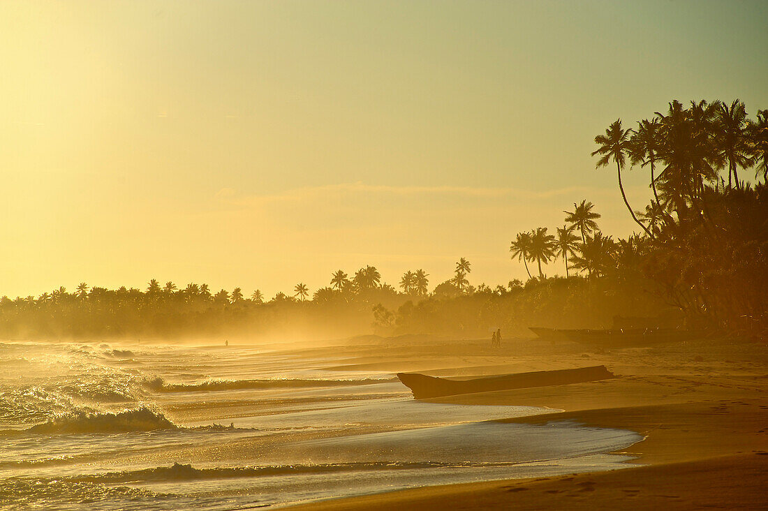 Einsamer Sandstrand mit Treibholz und Palmen kurz vor Sonnenuntergang, Turtle Bay bei Tangalle ganz im Süden von Sri Lanka