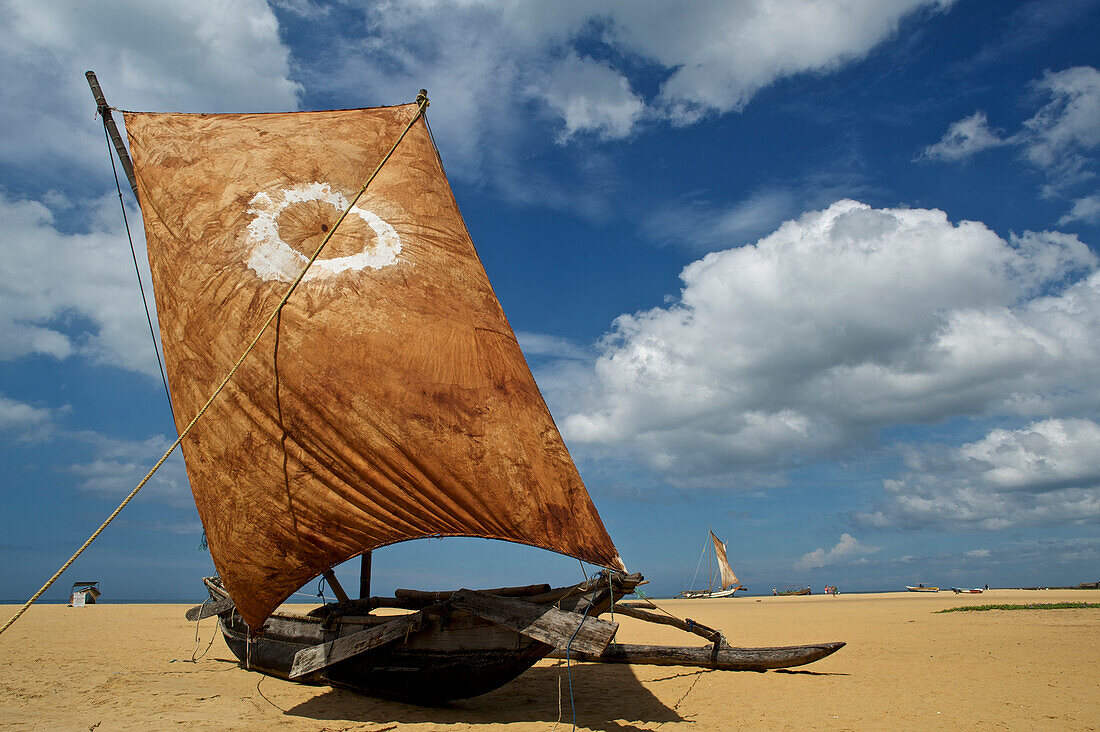 Fischerboot - Katamaran - mit geblähten Segel auf dem breiten Sandstrand in Negombo nördlich von Colombo, Westküste, Sri Lanka