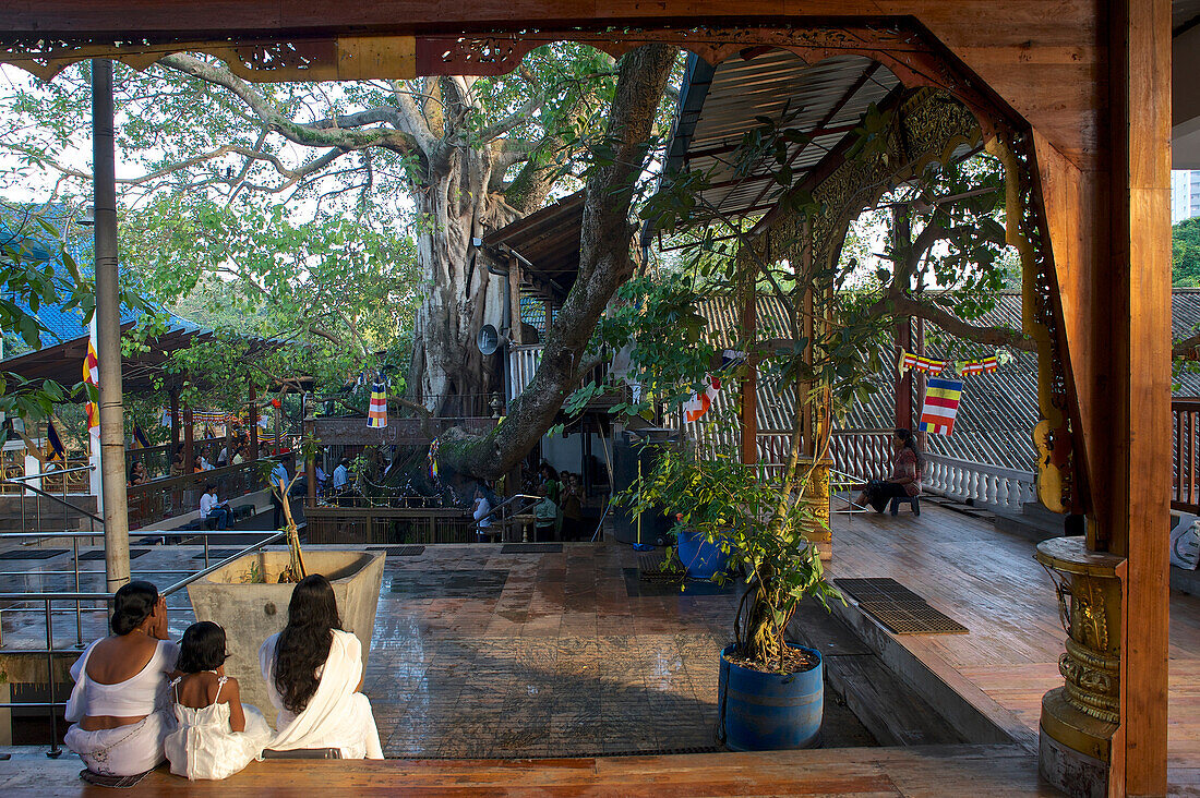 Betende Buddhisten im Gangaramaya Tempel, Colombo, Sri Lanka, Südasien