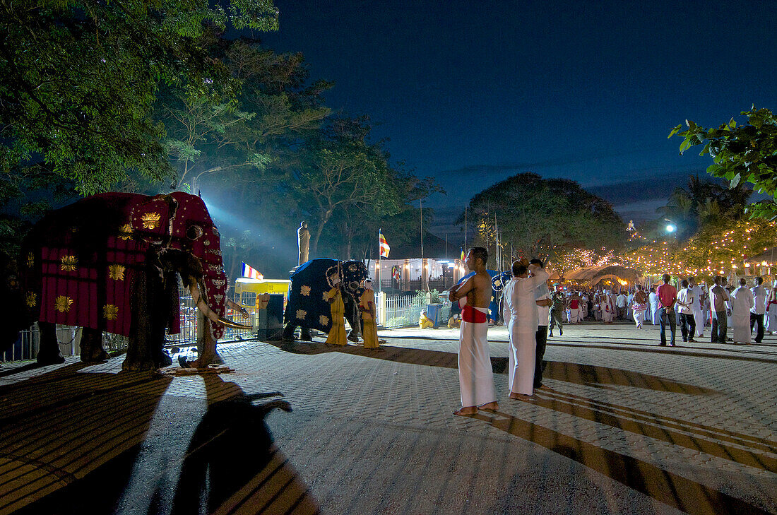 Für die Perahera geschmückte Elefanten vor dem Tempel des Heiligen ZahnsSri Dalada Maligawa, Kandy, Sri Lanka