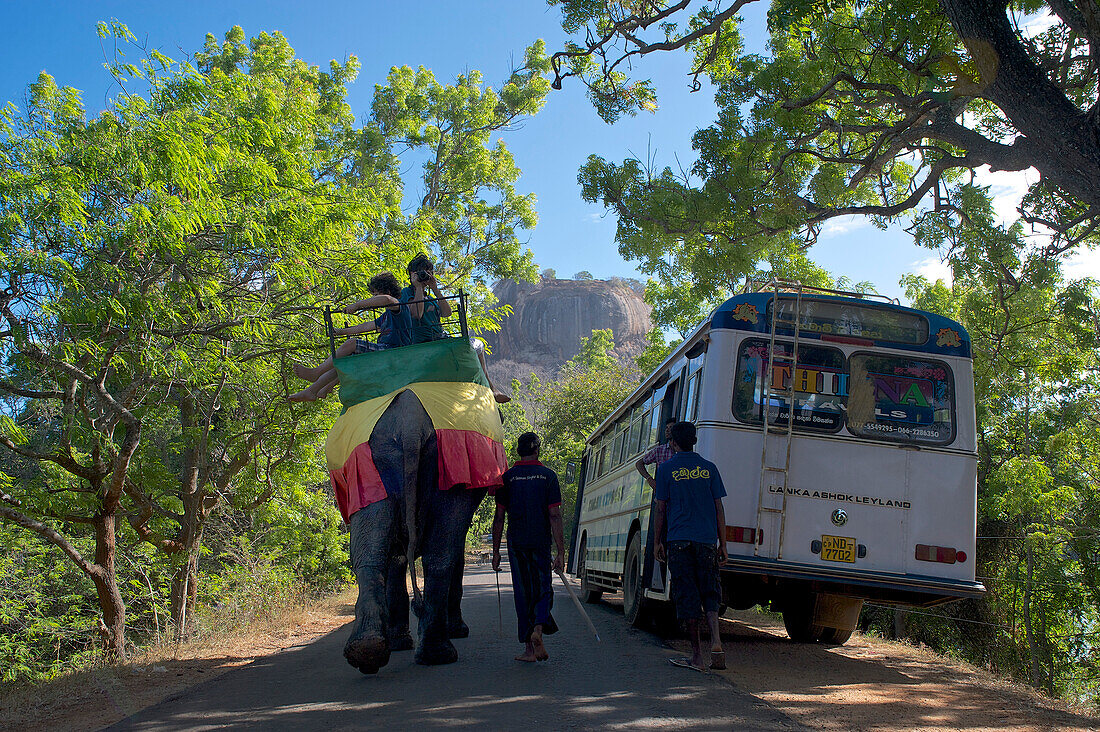 Elefant mit Touristen passiert Bus am Löwenfelsen in Sigiriya, Matale Distict, Kulturdreieck, Sri Lanka, Südasien
