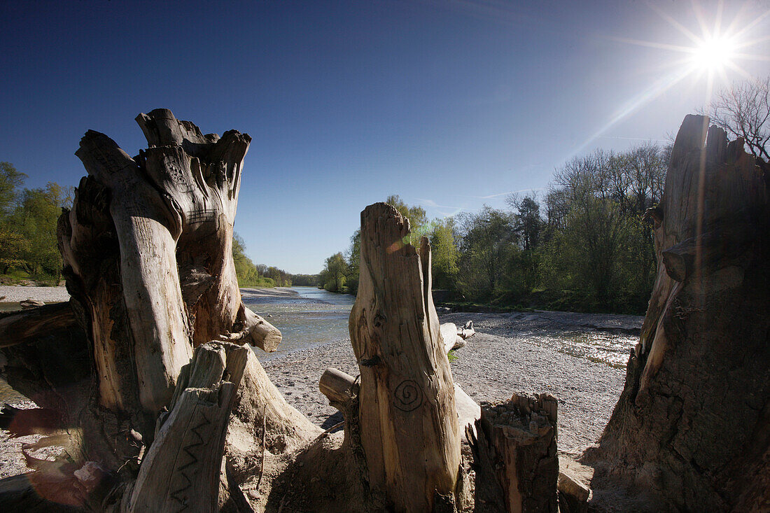 Flaucher, Isar, München, Bayern, Deutschland