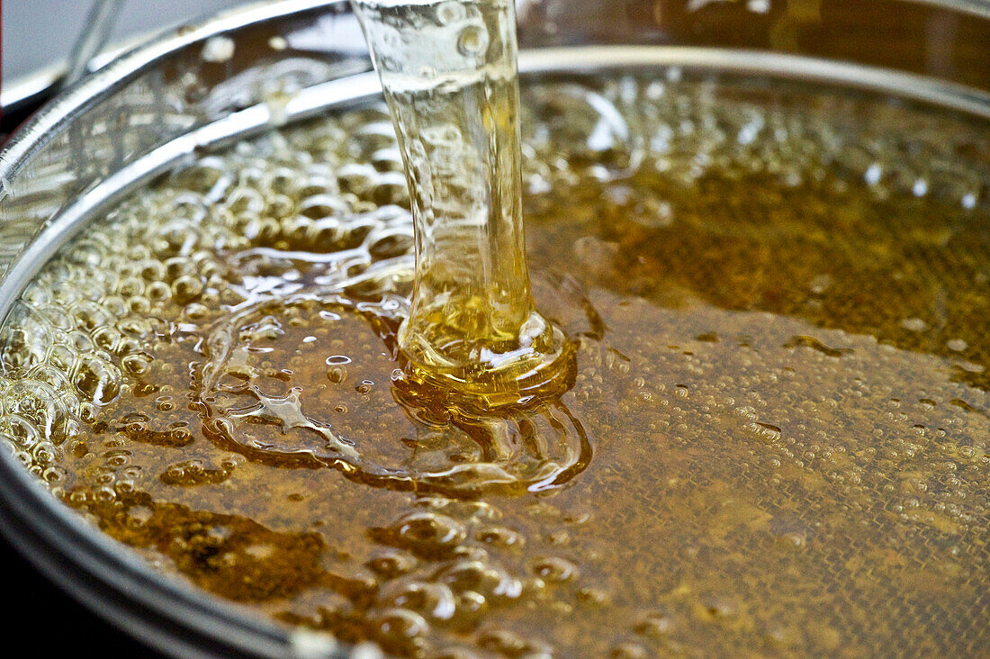 Pouring honey, Freiburg im Breisgau, Black Forest, Baden-Württemberg, Germany