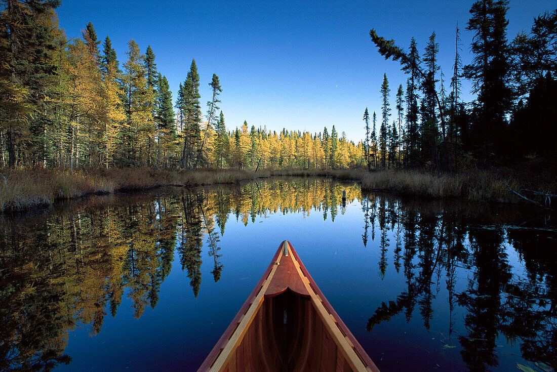 Canoe bow with autumn trees, Discovery Lake, Superior National Forest, Minnesota