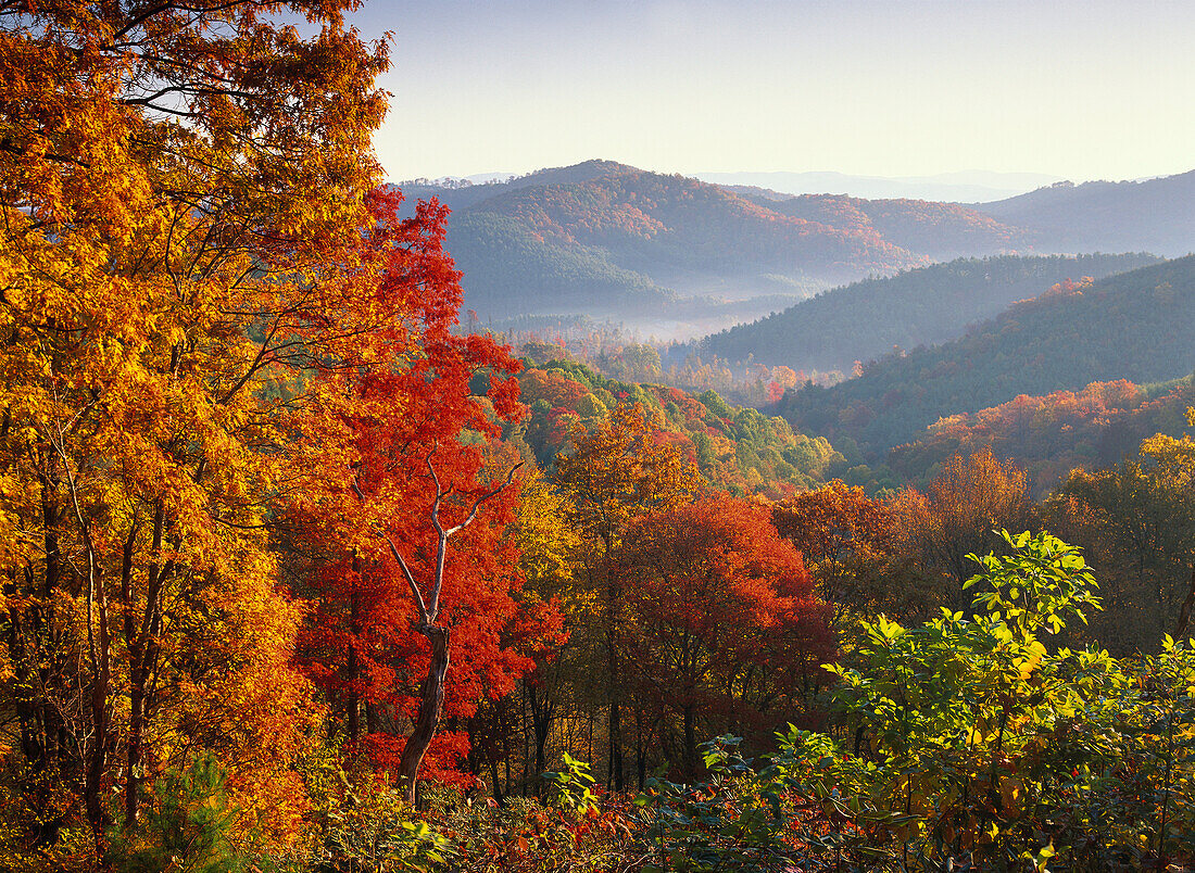 Autumn foliage on Blue Ridge Range near Jumping Off Rock, North Carolina