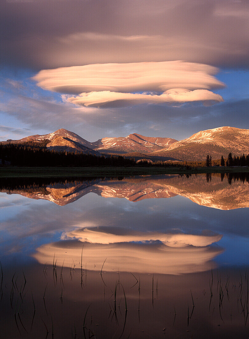 Lenticular clouds over Mt Dana, Mt Gibbs and Mammoth Peak reflected in flooded Tuolumne Meadows, Yosemite National Park, California