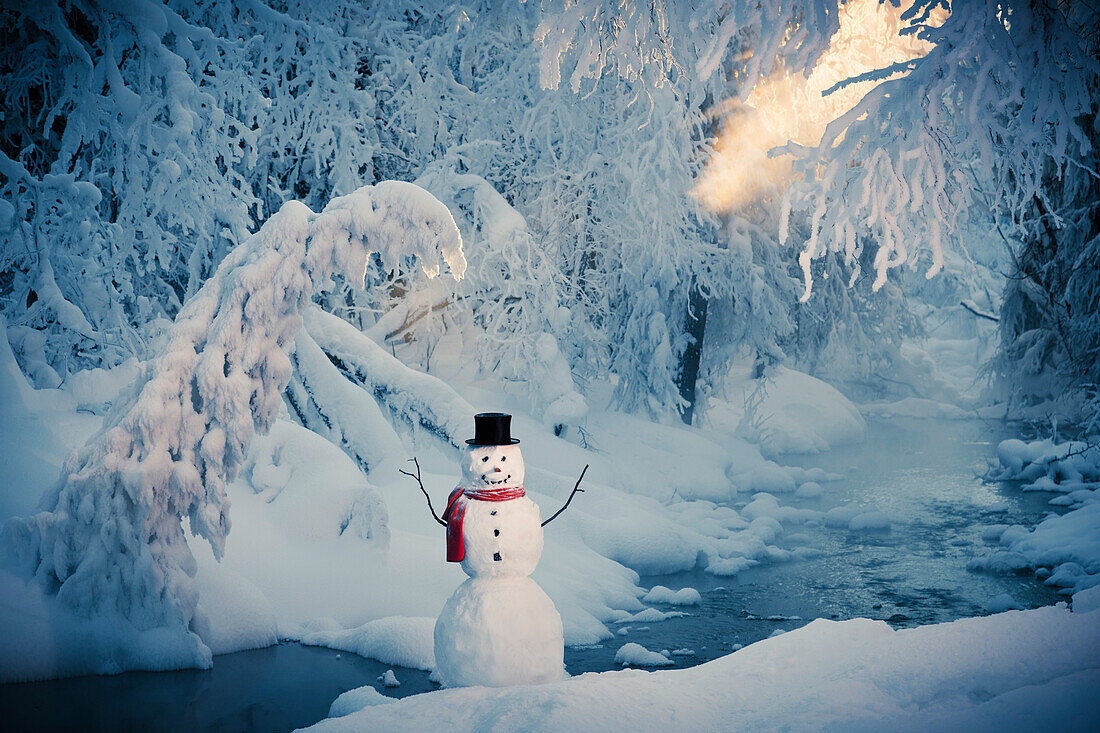 Snowman standing next to a stream with fog and hoar frosted trees in the background, Russian Jack Springs Park, Anchorage, Southcentral Alaska, Winter. Digitally enhanced.