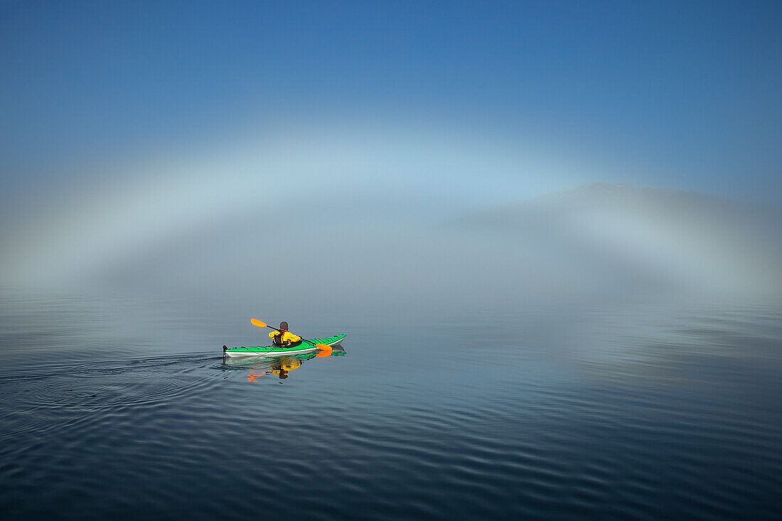 A sea kayaker paddles along the edge of a thick fog bank in Southeast Alaska's Stephens Passage, a fog bow has formed where water particles reflect the light of the morning sun. MR_ Ed Emswiler, ID#12172012A