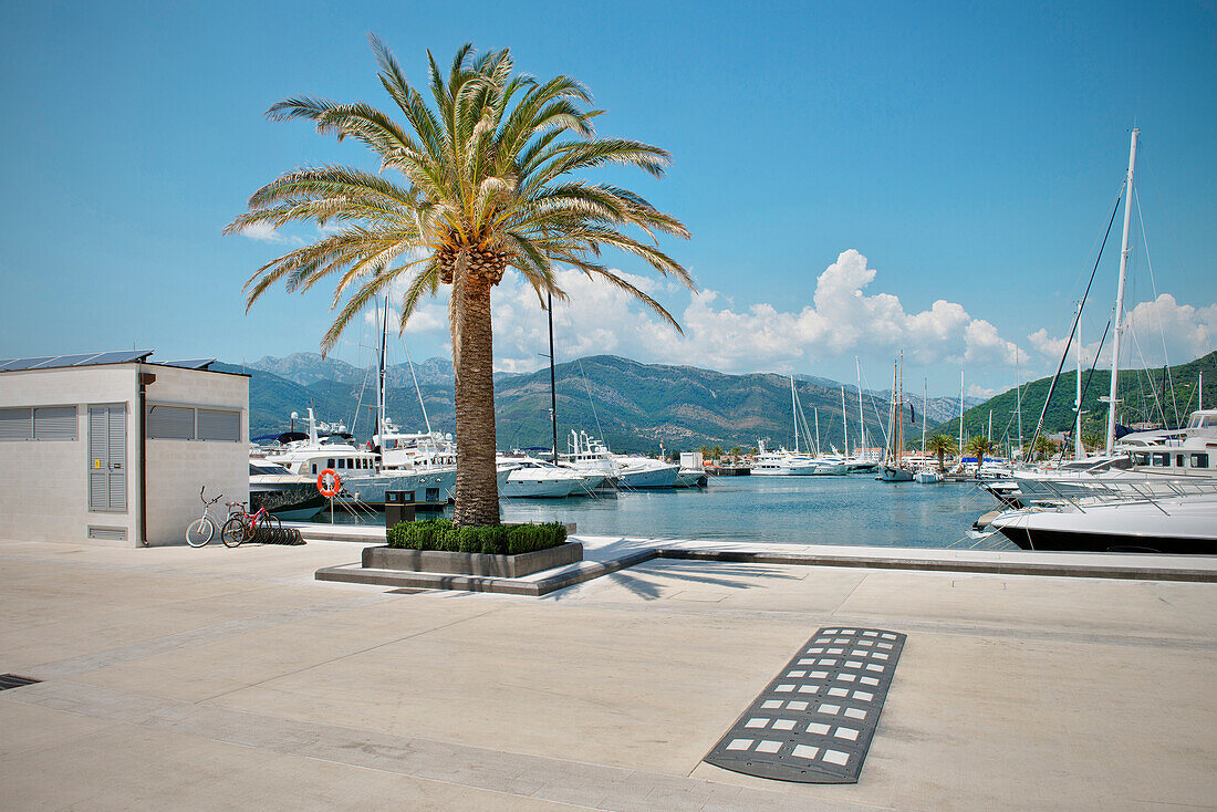Port of Montenegro, neuer Luxus Jacht Hafen in Tivat, Bucht von Kotor, Adria Mittelmeerküste, Montenegro, Balkan Halbinsel, Europa