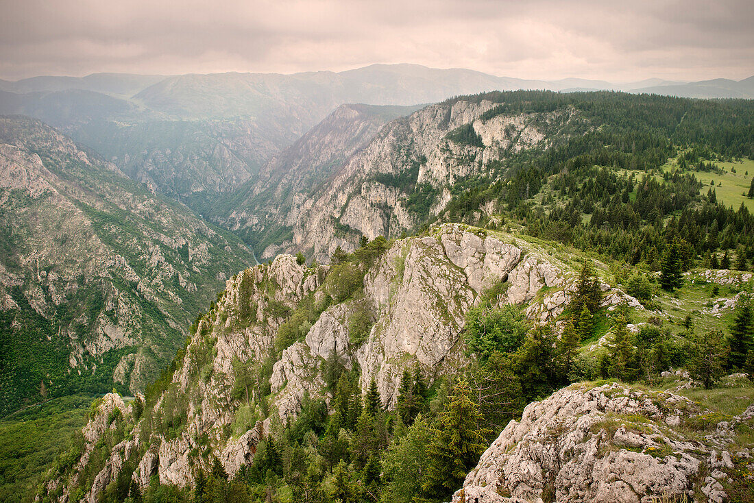 View of the Tara River Canyon in Durmitor National Park, Zabljak, Montenegro, Western Balkan, Europe