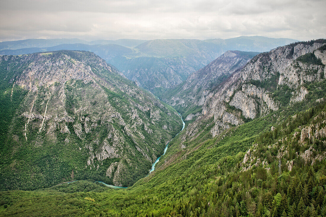 Blick in den Tara Fluss Canyon im Durmitor National Park, Zabljak, Montenegro, Balkan Halbinsel, Europa