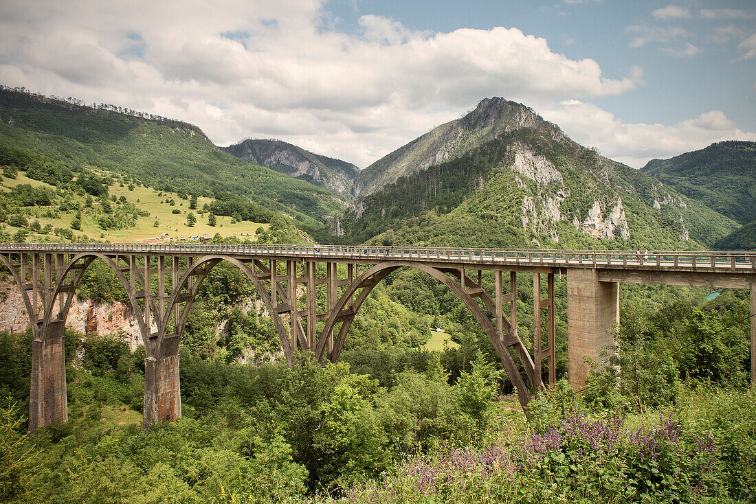 Blick auf die Tara Fluss Brücke und die umliegenden Berge, Montenegro, Balkan Halbinsel, Europa