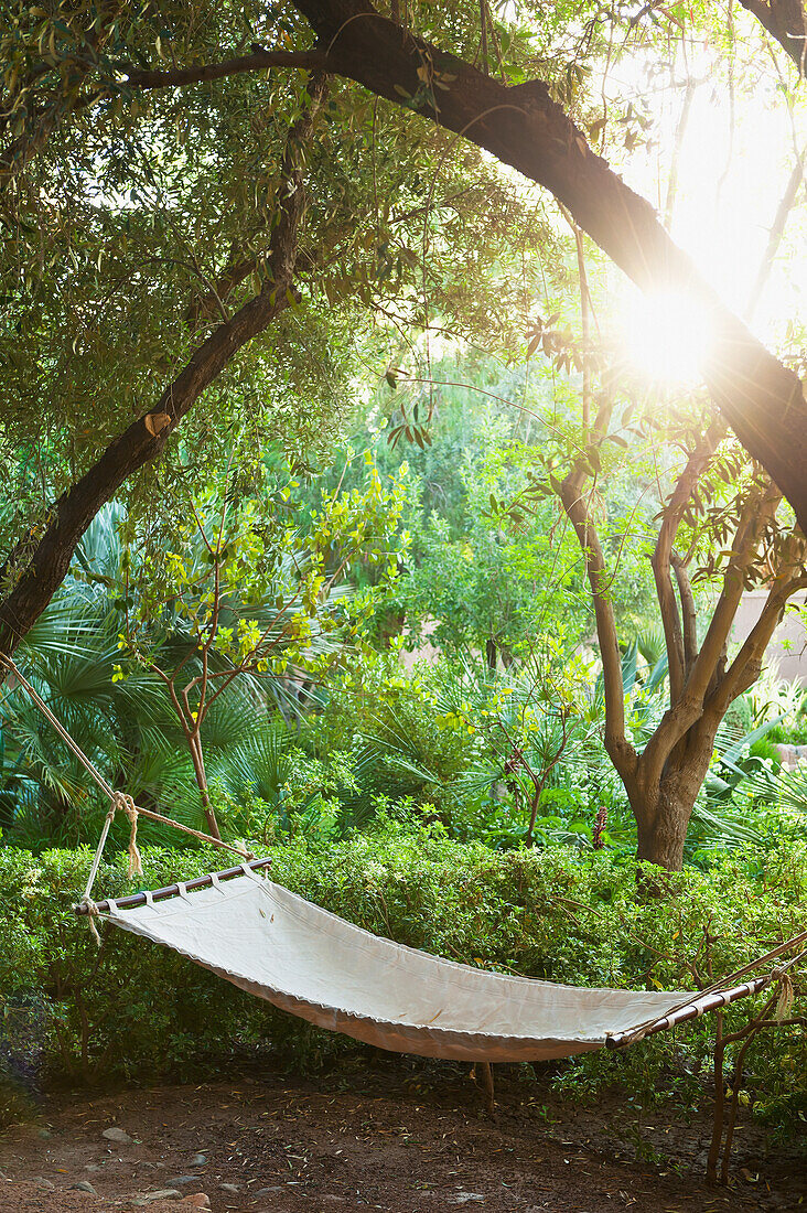 Hammock in gardens of Dar Ahlam Hotel, Skoura, Morocco