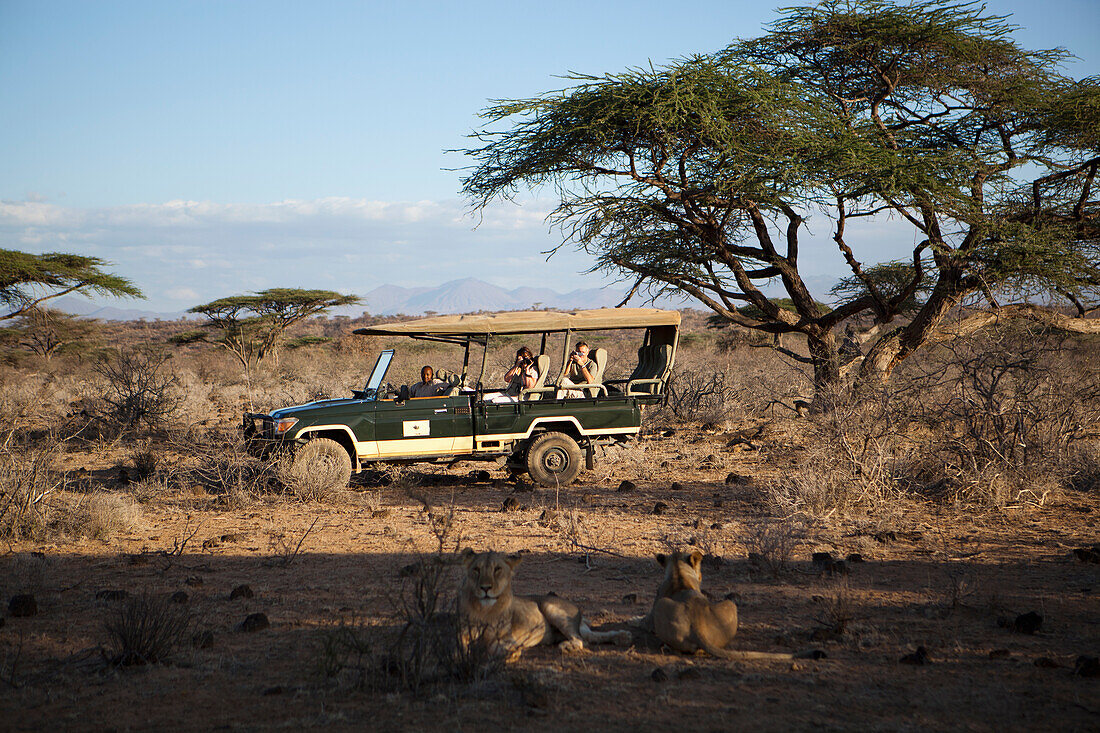 Guests on Jeep safari at luxurious Joy's Camp, Shaba National Reserve, Kenya