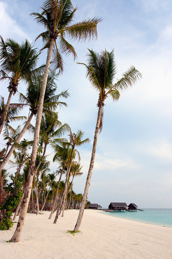 One & Only Reethi Rah Resort Maldives