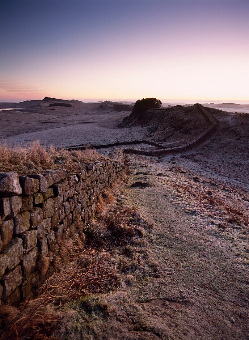 Looking Along Hadrian's Wall Shortly Before Dawn, At Cuddy's Crags Near Housesteads, Northumberland, England.&#Xd, &#Xa, © Ian Cumming / Axiom