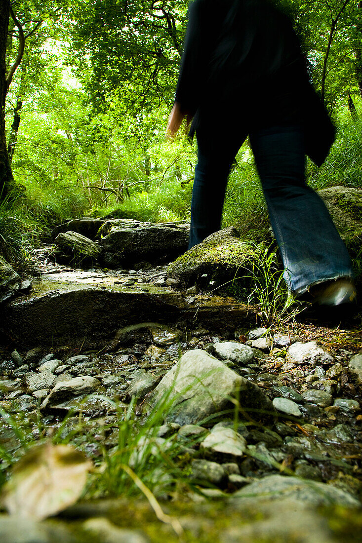 Walking trails and footpaths of Snowdonia, Nant Ggwynant, Snowdonia National Park, North Wales, Wales, UK