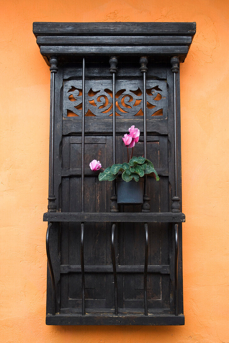 Colombia, Bogota, Window and potted flower, La Candelaria