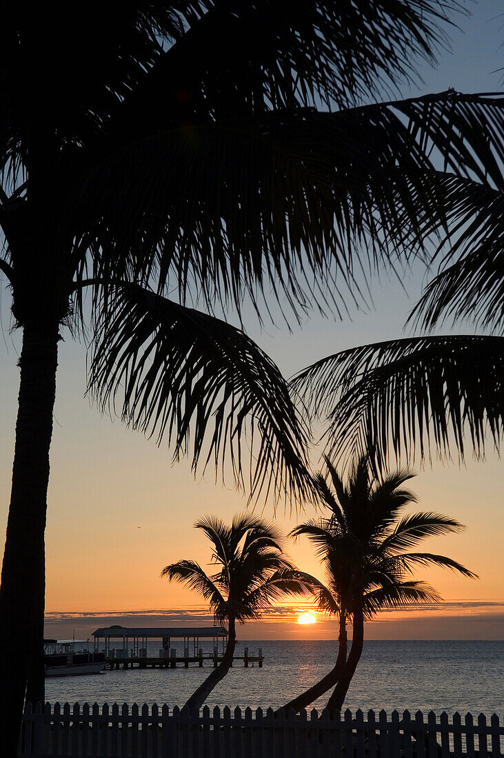 Sunrise over pier and boat dock, Islamorada, Florida Keys, Florida, USA
