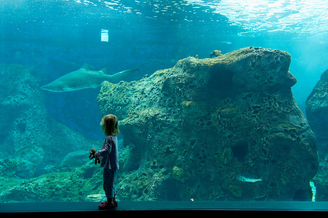 Young girl looking at shark and other fish in large tank in Cretaquarium, Crete, Greece