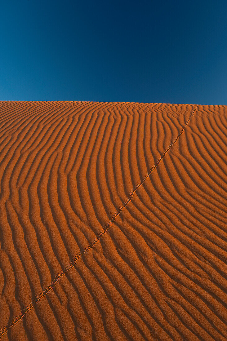 Sand dune near Merzouga in Sahara Desert, Erg Chebbi, Morocco