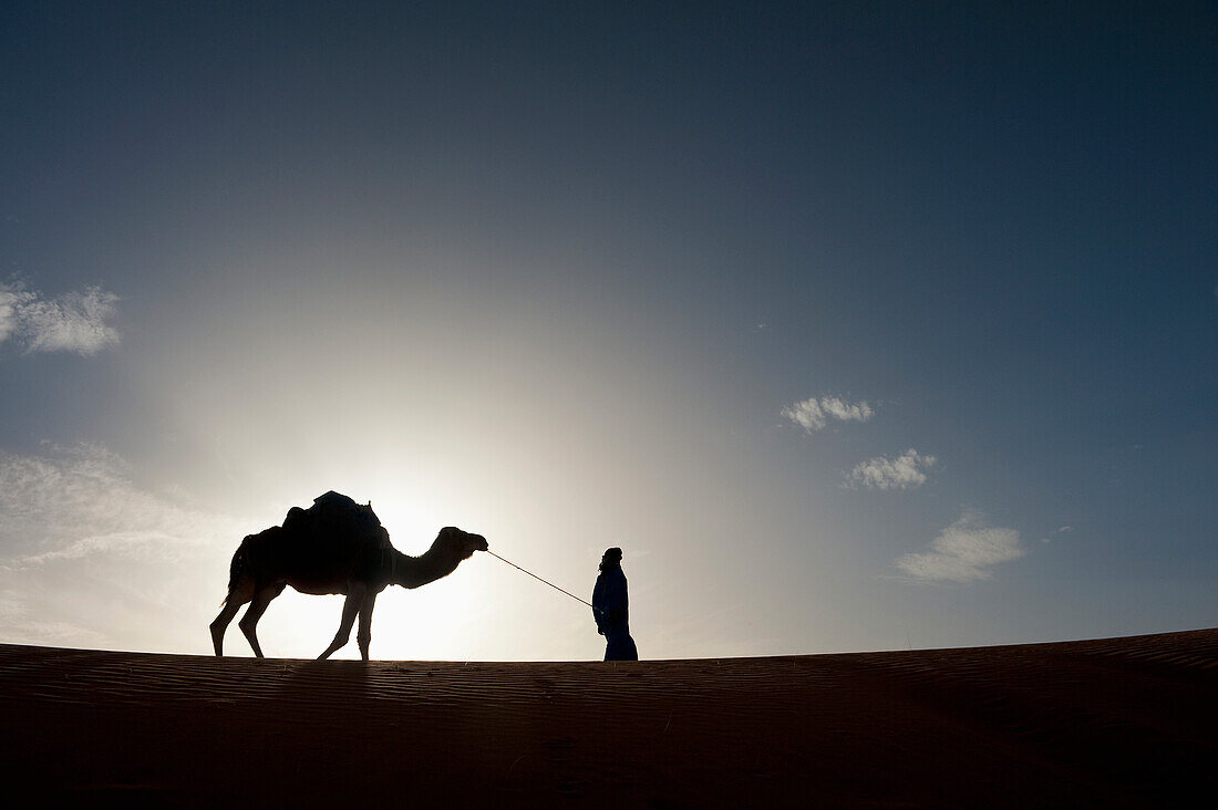Silhouette of Berber 'Blue man' leading camel across sand dune at dusk in Erg Chebbi near Merzouga, Sahara Desert, Morocco