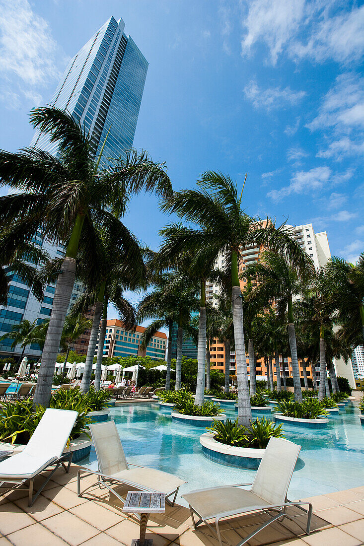 High rise buildings, hotels, swimming pool and palm trees in downtown, Miami, Florida, USA