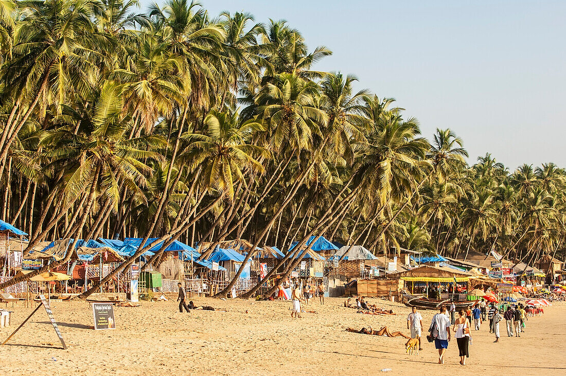 India, Tourists and Indians mix on Palolem Beach, Goa