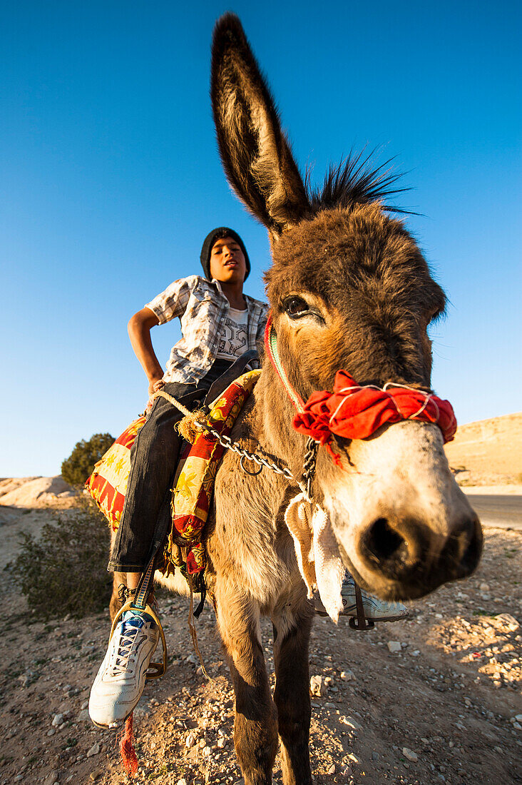 Junge sitzt auf einem Esel, Wadi Musa, Jordanien, Naher Osten