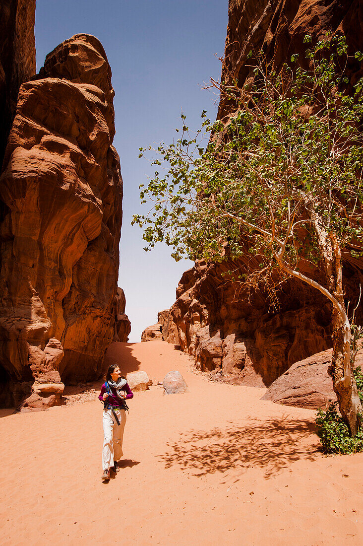 Frau wandert durch eine Felsenschlucht, Wadi Rum, Jordanien, Naher Osten