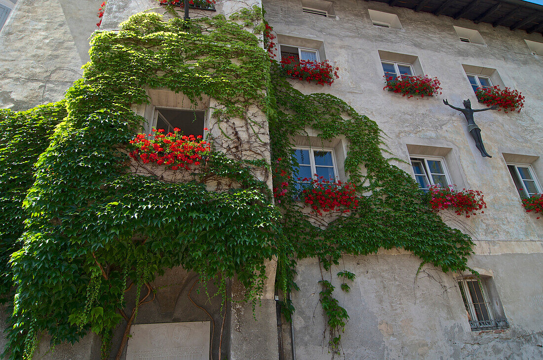 Wilder Wein, Dreispitzige Jungfernrebe (Parthenocissus tricuspidata) rankt an Hauswand, Geranien im Fenster, Christusgur an der Wand, Brixen, Eisacktal, Dolomiten, Südtirol, Italien
