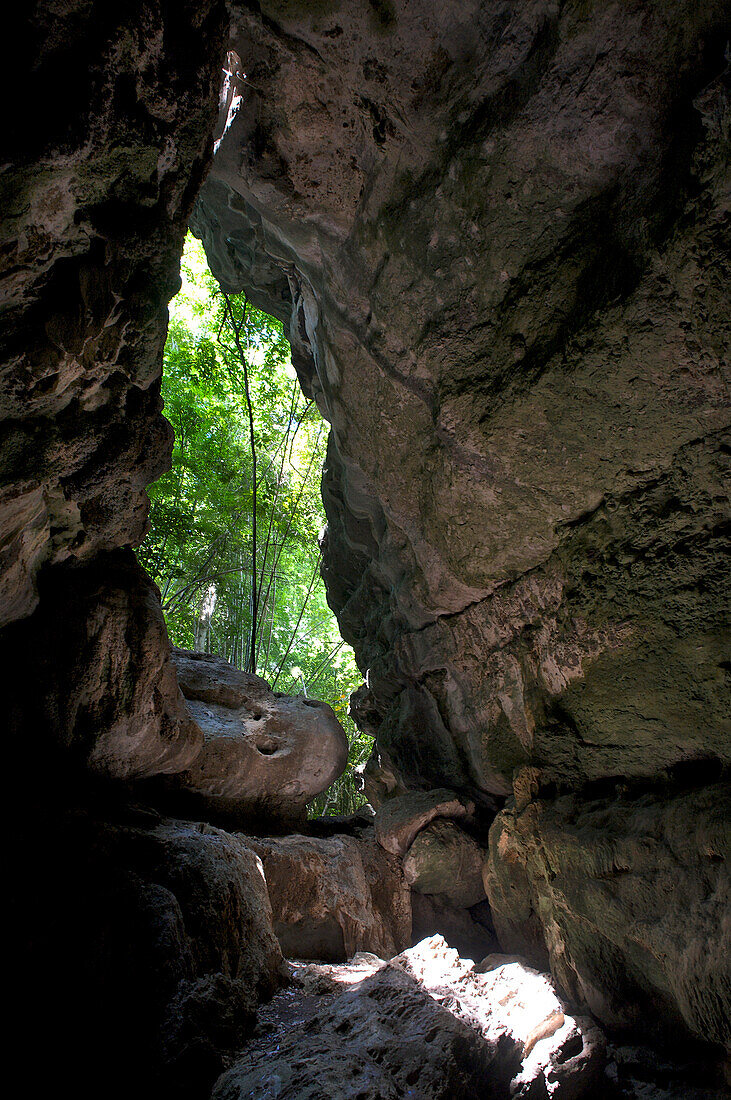 Blick aus der Höhle Goa Batu Cermin, Stein-Spiegel-Höhle, bei Labuhanbajo im Westen von Flores, Nusa Tenggara, Kleine Sundainseln, östliche, Indonesien, Asia