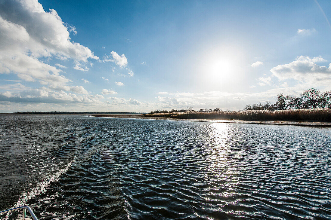 Blick auf Insel Öhe, Schaprode, Insel Rügen, Mecklenburg-Vorpommen, Deutschland