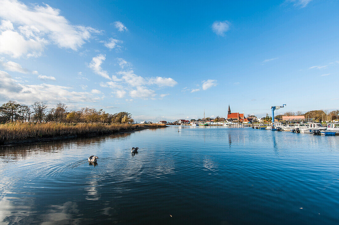 Blick auf Hafen und Insel Öhe, Schaprode, Insel Rügen, Mecklenburg-Vorpommen, Deutschland